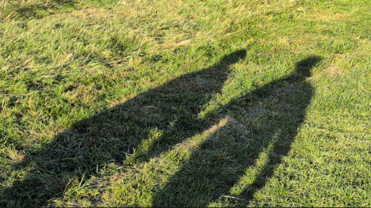 CRONY Movie Screenshot 2 CRONY Movie Screenshot 2